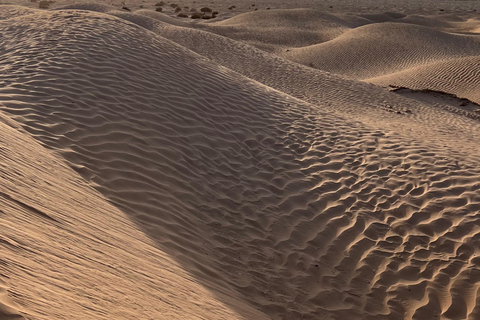 Onderdompeling in de Sahara: Avontuur met 2 nachten kamp en bivak