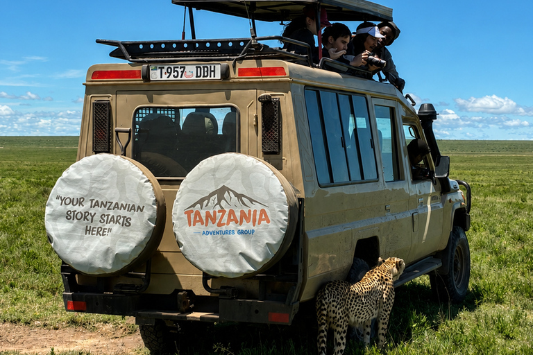 From Arusha: Ngorongoro Crater Safari with Lunch & Guide