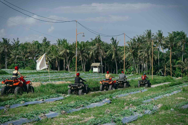 Beji Guwang Canyon, Barong Cave ATV & Jungle Club Experience Single ATV Only – Meeting Point