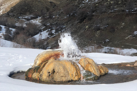 Yerevan: Vayots Dzor Private Tour with Geyser & Fortress