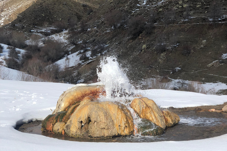 Yerevan: Vayots Dzor Private Tour with Geyser & Fortress