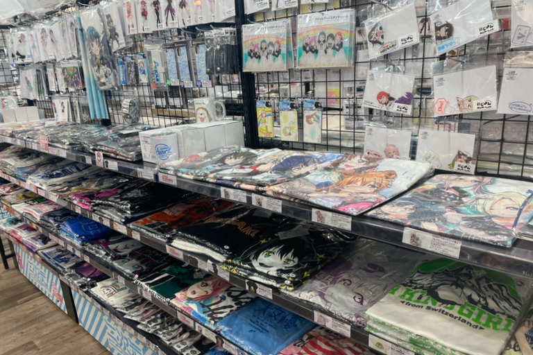 Tokio: Poznaj 10 uroków dzielnicy Akihabara!