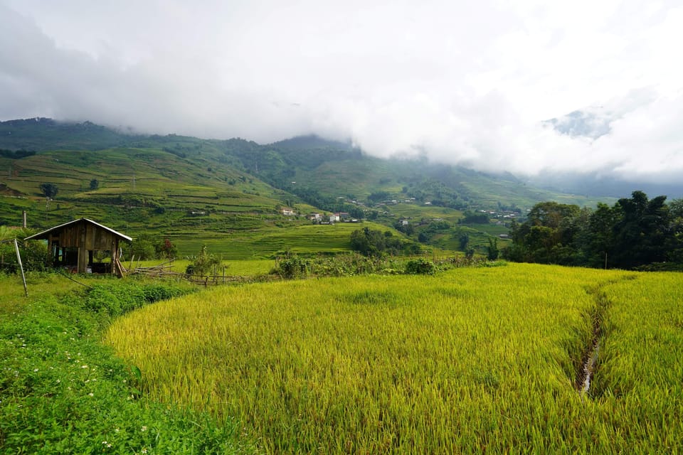 Sapa trip to Waterfalls, Trekking and Tribal Villages Tour - Housity