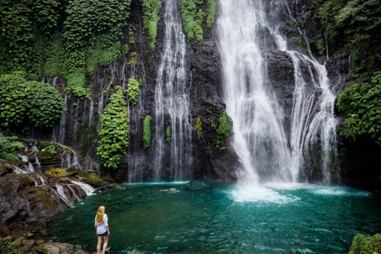 Bali: Tour delle colline nascoste, delle cascate e dei templi di Wanagiri
