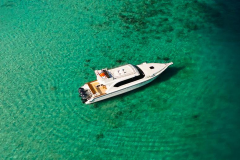 From Labuan Bajo: Komodo National Park Speedboat Day Trip