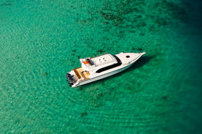 From Labuan Bajo: Komodo National Park Speedboat Day Trip