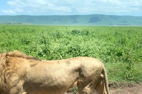 Tansania: 5-tägige private Mittelklasse-Safari mit Unterkunft