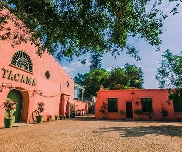 Ica; esperienza di vino, pisco e dune buggy