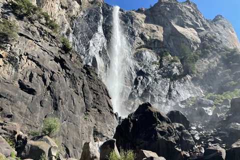 Yosemite, Séquoias géants, visite privée depuis San FranciscoYosemite privé, séquoias géants, depuis San Francisco