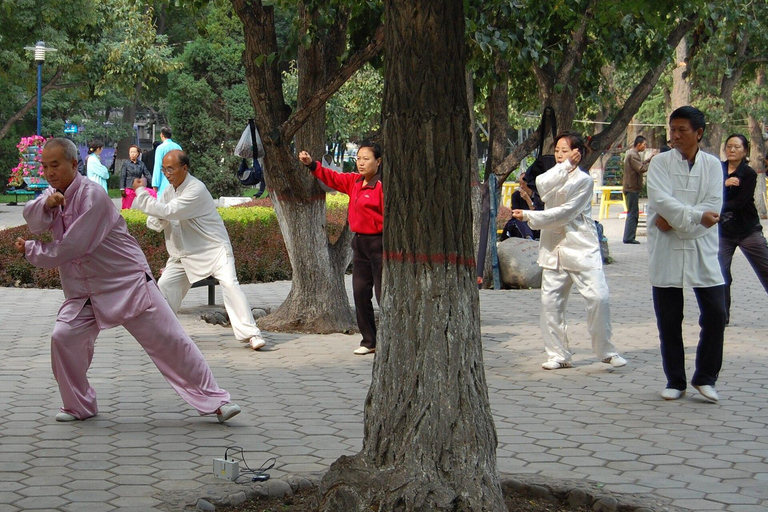 Chengdu: Tai Chi & Kung Fu Class with a Master