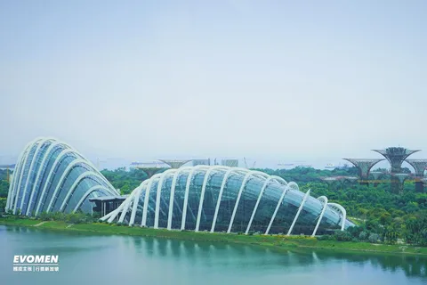 Singapore Private Transfer：Changi Airport（SIN）to downtown