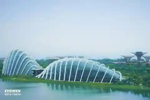 Traslado particular de Cingapura：Do aeroporto de Changi（SIN）para o centro da cidade