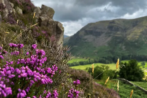 Windermere: Caminhada guiada até Orrest Head e School Knott