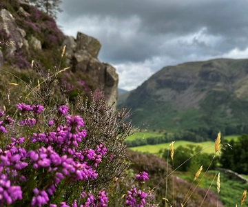 Windermere: Guided Hike to Orrest Head and School Knott