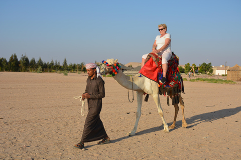 Passeio de camelo com pôr do sol e observação de estrelasServiço de busca no hotel em Hurghada