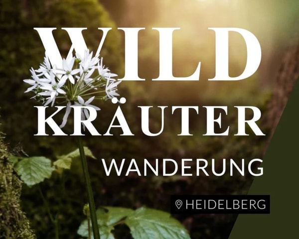 Heidelberg: Herbal hike with a local guide