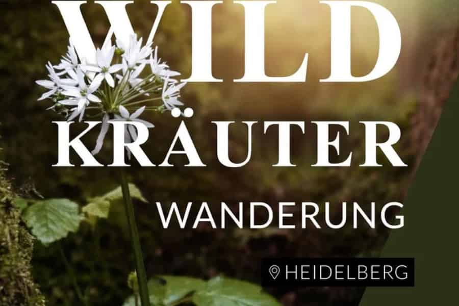 Heidelberg: Kräuterwanderung mit lokalem Guide. Foto: GetYourGuide