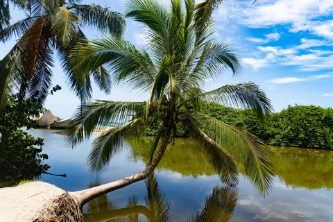 Cartagena – Tayrona Park: 2 days + Glamping + 7 beaches + Transportation