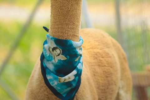 Bakou : Excursion d&#039;une journée à Shamakhi avec mosquée Juma et vignobles