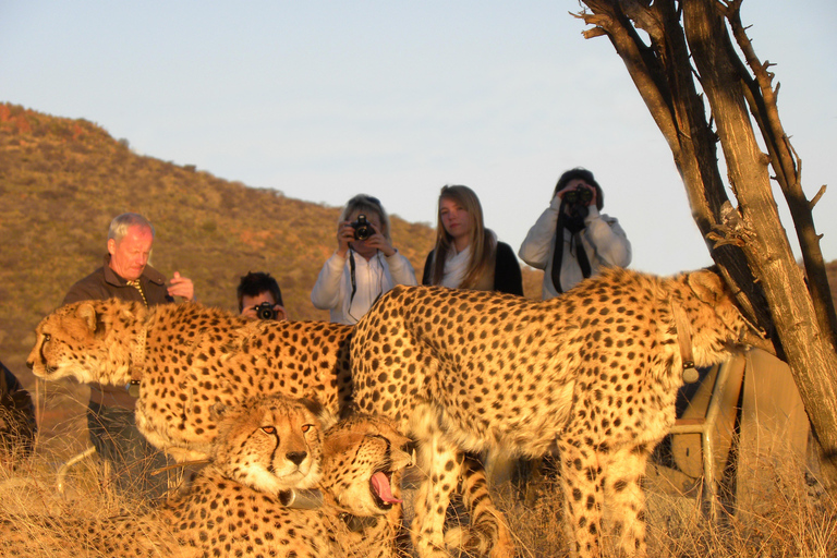 Namibië Ontdekkingsreis