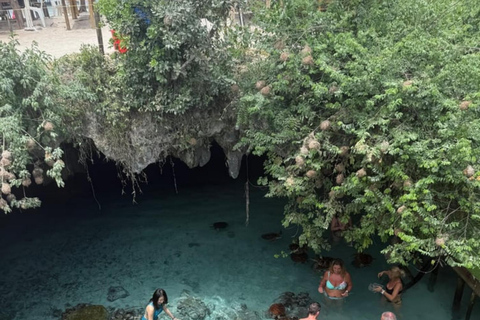 Zanzibar: Zwemmen met schildpadden in het Salaam Grot AquariumHoteltransfer overal in Zanzibar