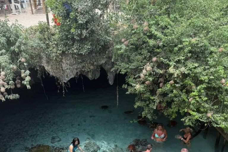 Zanzibar: Zwemmen met schildpadden in het Salaam Grot AquariumHoteltransfer overal in Zanzibar