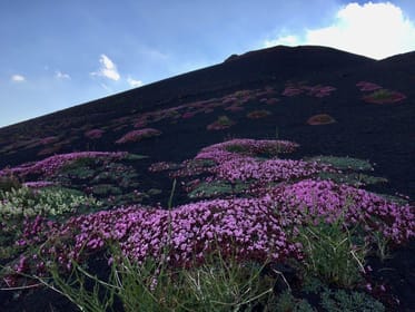 Etna: Morning 4x4 Tour with Volcanic Cave and Typical Food Tasting