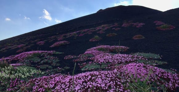 Mt. Etna: Morning 4x4 Tour with a volcanic cave and traditional food tasting