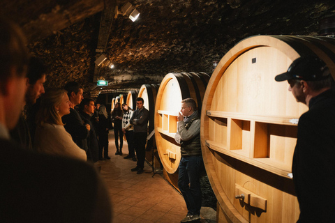 Avignon: dia inteiro de trufas e vinhos Chateauneuf-du-Pape