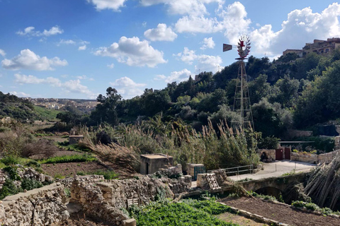 L'île de Gozo : Visite privéeVisite privée de Gozo de 4 heures