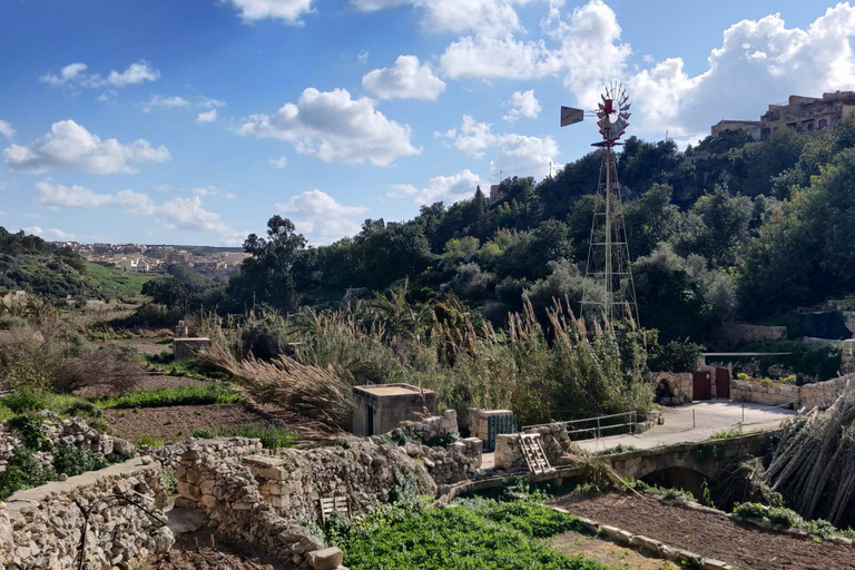 L'île de Gozo : Visite privéeVisite privée de Gozo de 4 heures