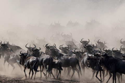 Mombasa: Tsavo East & Amboseli 3-Day Safari with Meals