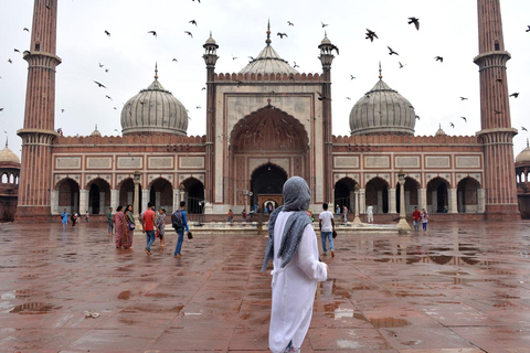 De Delhi: Tour particular de luxo de 3 dias pelo Triângulo DouradoTour particular sem hotéis