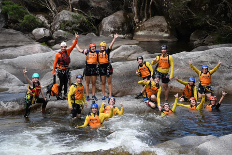 Cairns: Tour d&#039;avventura Crystals &amp; Behana - Canyoning a CairnsEsperienza nella foresta pluviale delle cascate di Cairns Giornata intera avanzata