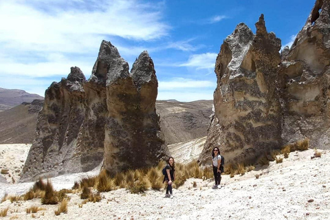 Tour 10 Stunden Pillones Wasserfall und Puruña Steinwald