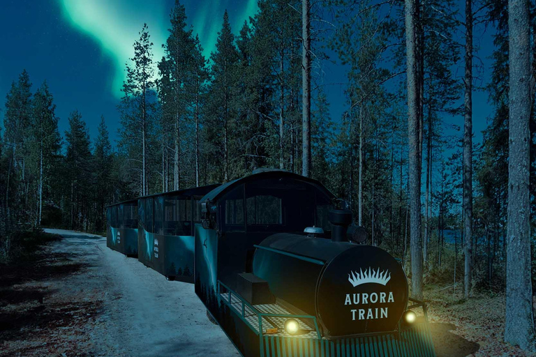 Rovaniemi: Comboio da Aurora para o Wilderness Camp