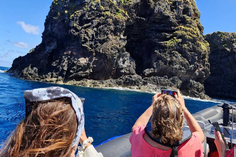 Corvo Island: Full Tour with Boat, Transfers, and Guide Corvo Island: Full Tour with Boat, Transfers, and Guide Included