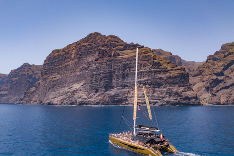 Costa Adeje: Masca and Los Gigantes Whale Watching CruiseTour with Pickup in the South