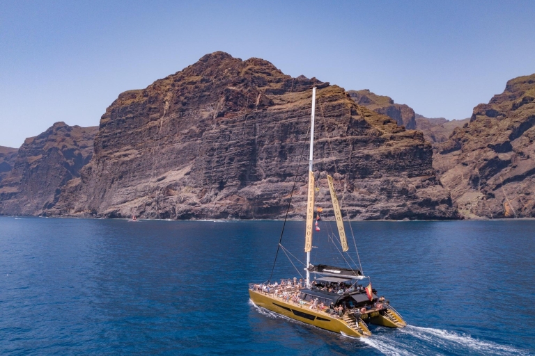 Costa Adeje: Masca and Los Gigantes Whale Watching Cruise Tour Without Pickup
