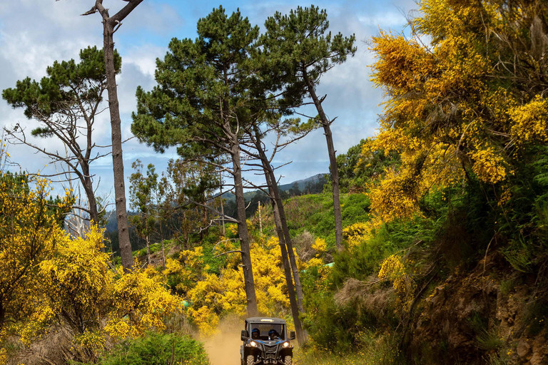 Madeira: Excursión en Buggy Trail Thrill