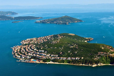 Istanbul: Princess Islands Day Trip with Lunch & Ferry