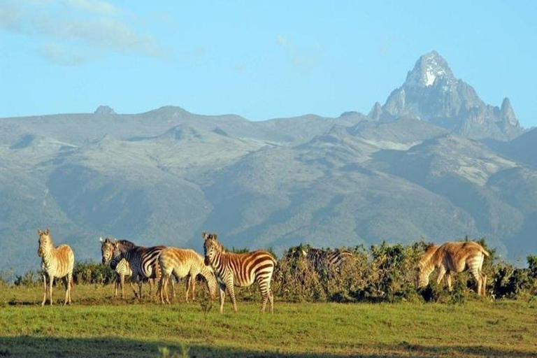 Dagtocht naar Mt Kenia