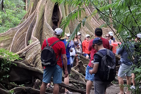 Rio Celeste Waterfall: Rain Forest Hike & Sloth Observation Waterfall-Lunch-Sloth Observation:SelfDrive to Meeting Point