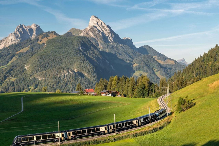 Zurich: Hardcore Swiss Train Tour–4 Scenic Railways in 1 day Excluding Train Tickets