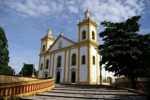 Manaus : visite guidée à pied du centre historique