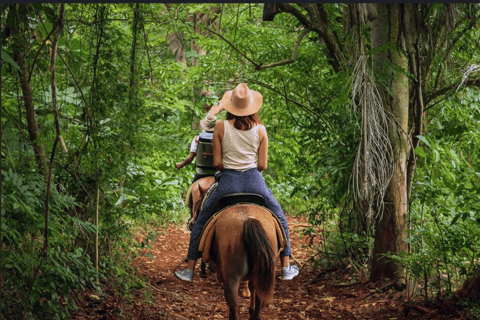 Punta Cana: Haitises paarden, Cano hondo &amp; Montana redonda