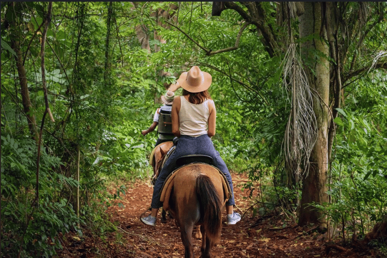 Punta Cana: Haitises paarden, Cano hondo &amp; Montana redonda