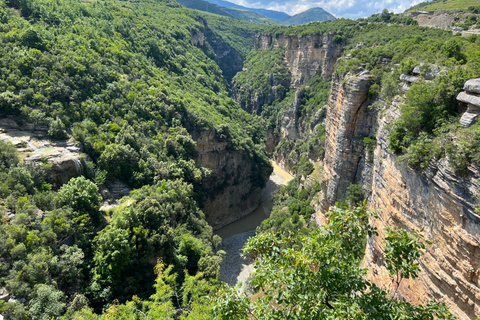 From Berat: Osumi Canyon, Bogova Waterfall, and Pirro Goshi…