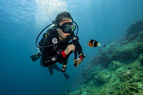 Från Da Nang/ Hoi An: Chamöarna &amp; snorkling eller dykningGruppresa