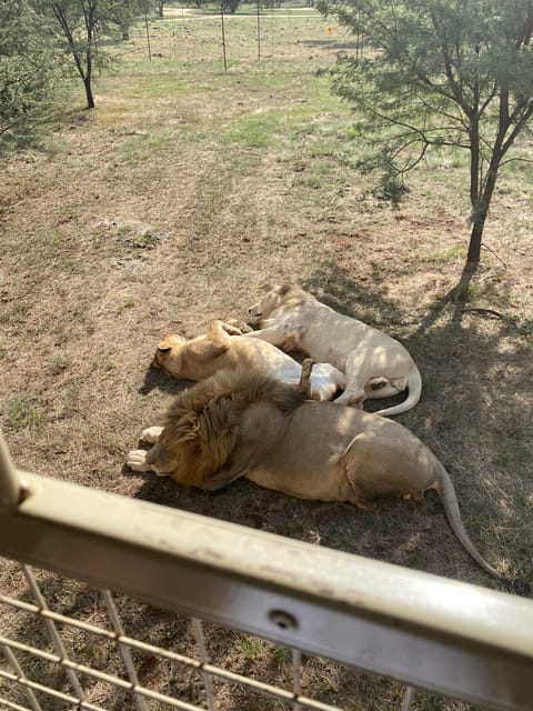メディア コラージュ